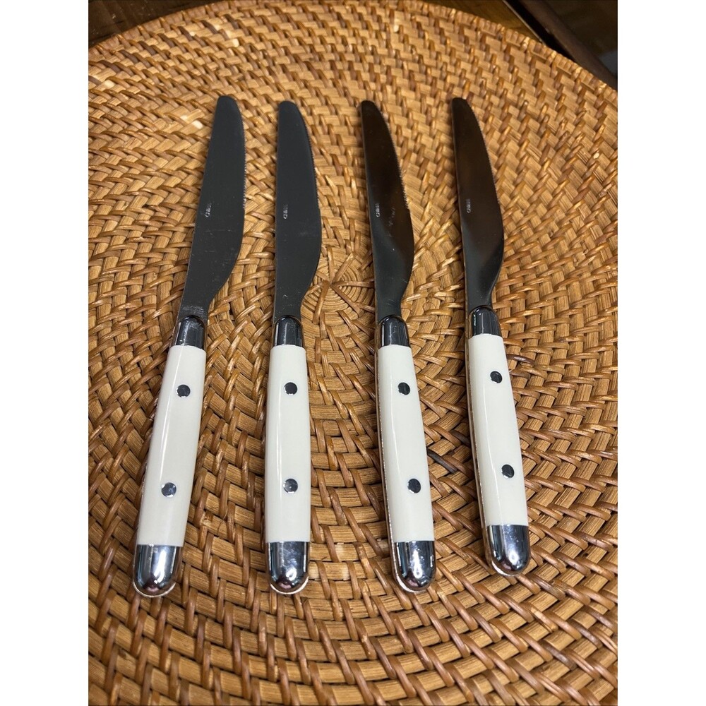 Stainless  Flatware White Plastic Handle, Rivets Excellent Condition